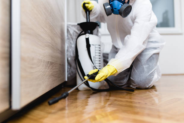 Pest Control for Restaurants in Town N Country, FL