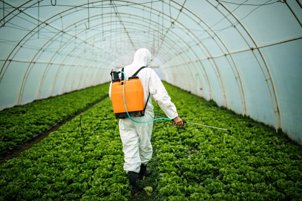 Best Commercial Pest Control Services  in Town N Country, FL