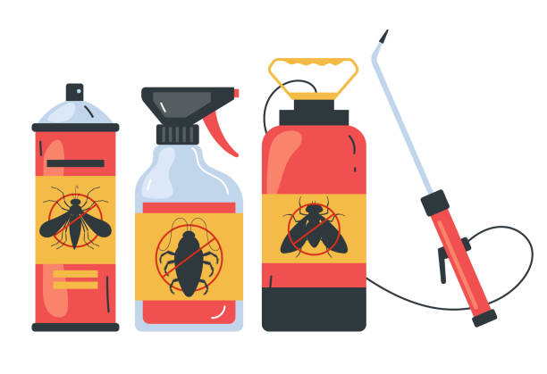 Best Ant Control Services  in Town N Country, FL