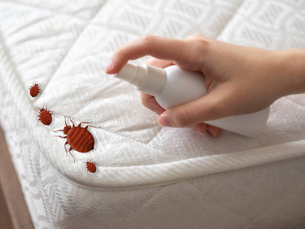 Pest Control Cost in Town N Country, FL